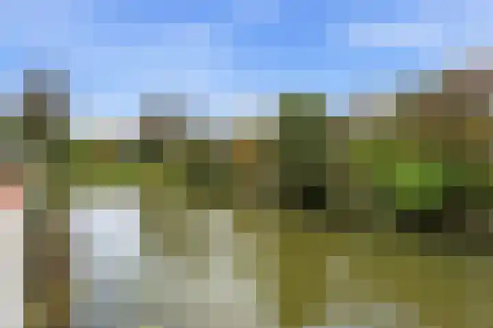 Beltmolen 51 Capelle aan den IJssel thumbnail 44