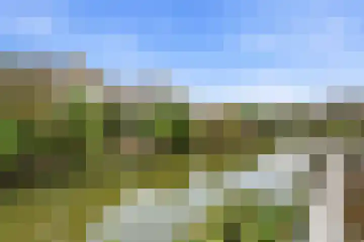 Beltmolen 51 Capelle aan den IJssel thumbnail 5