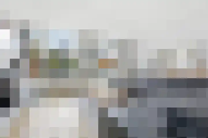 Beltmolen 51 Capelle aan den IJssel thumbnail 7