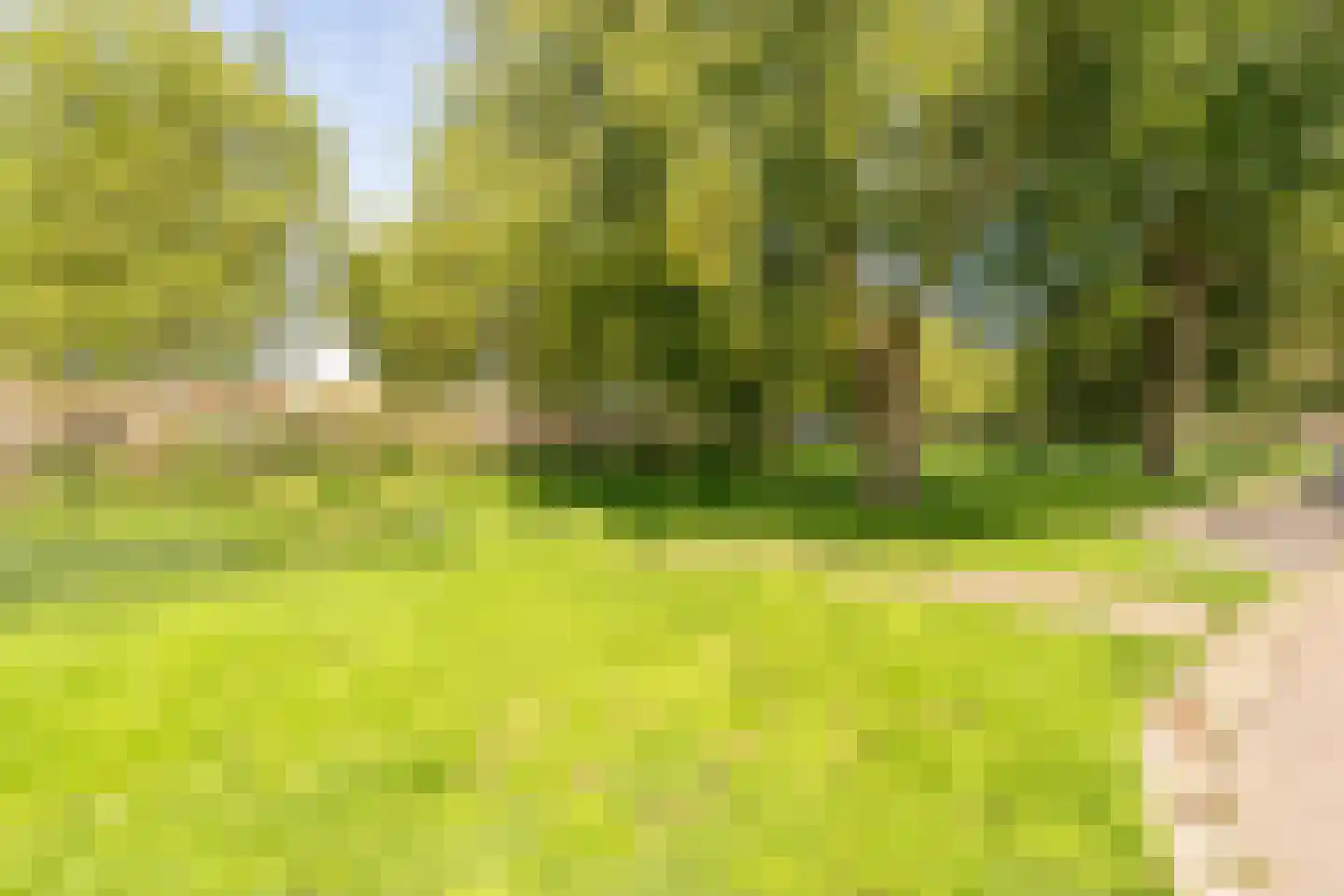 Beltmolen 54 Vianen thumbnail 11