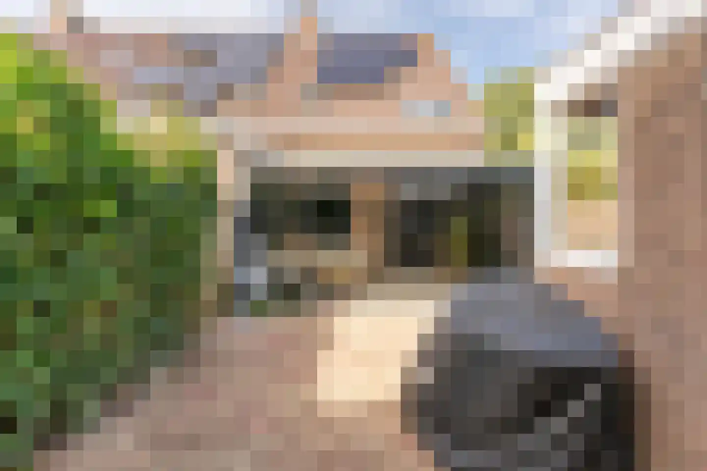 Beltmolen 54 Vianen thumbnail 49