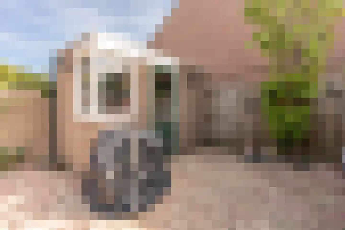 Beltmolen 54 Vianen thumbnail 50