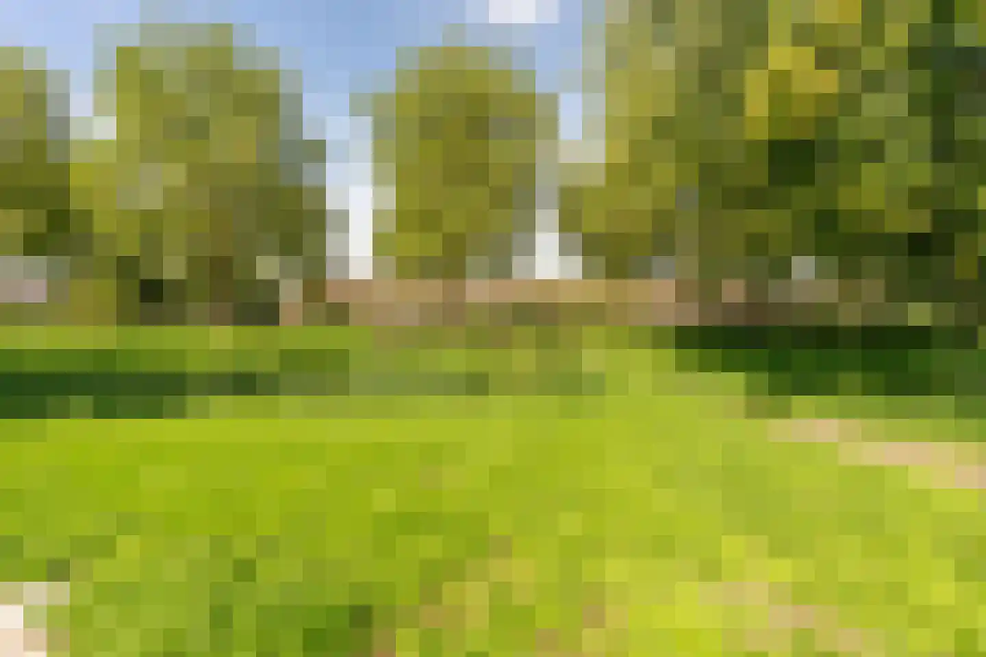 Beltmolen 54 Vianen thumbnail 53