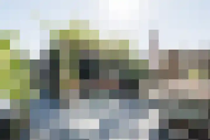 Beltmolen 60 Weert thumbnail 31