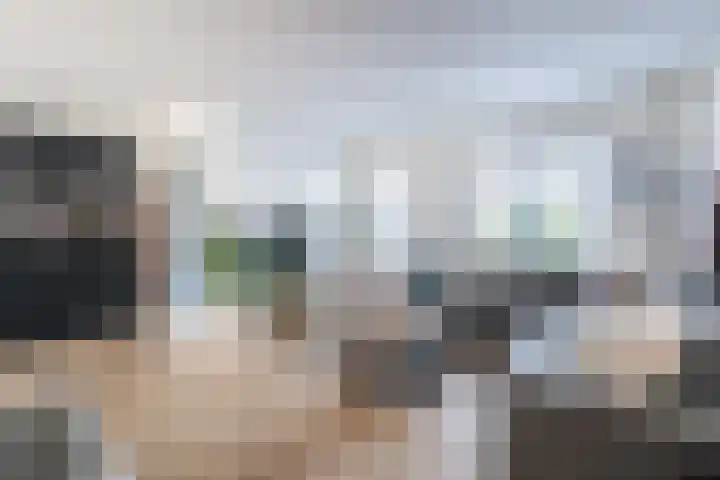 Beltmolen 60 Weert thumbnail 8