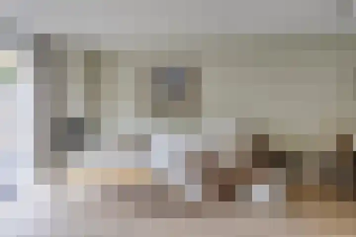Beltmolen 71 Nunspeet thumbnail 11