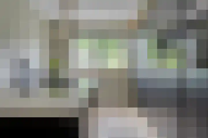 Beltmolen 71 Nunspeet thumbnail 18