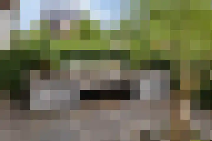 Beltmolen 71 Nunspeet thumbnail 4