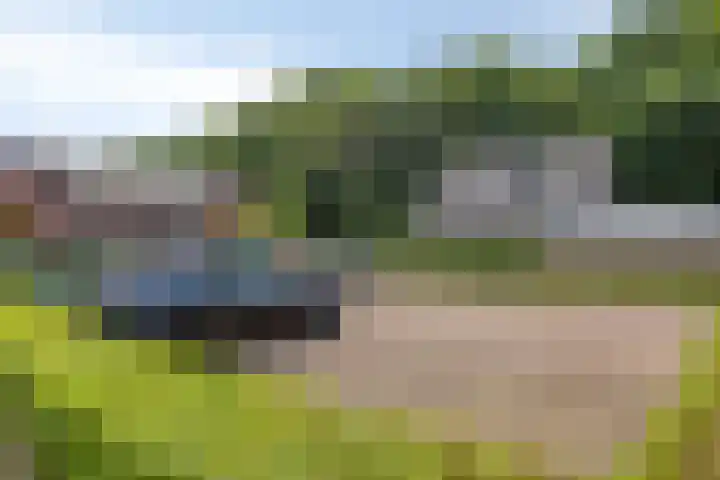 Beltmolen 71 Nunspeet thumbnail 40