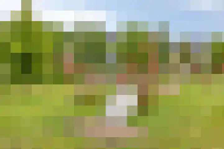 Beltmolen 71 Nunspeet thumbnail 41