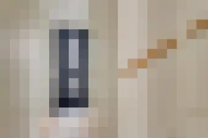 Beltmolen 71 Nunspeet thumbnail 5