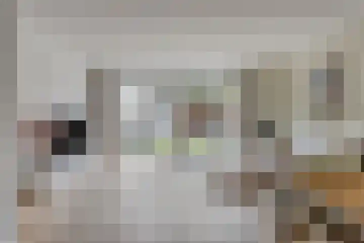 Beltmolen 71 Nunspeet thumbnail 9