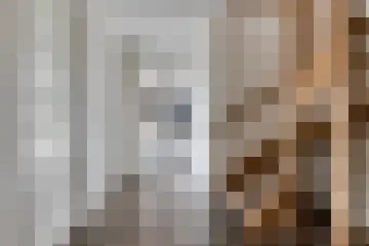 Beltmolen 8 Winterswijk thumbnail 12