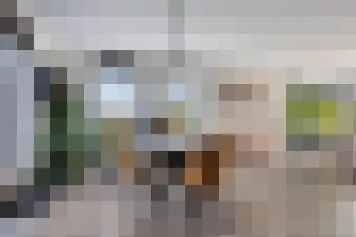 Beltmolen 8 Winterswijk thumbnail 20