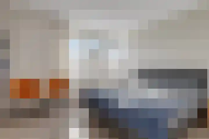 Beltmolen 8 Winterswijk thumbnail 35
