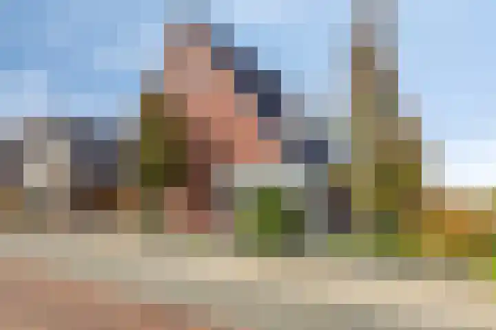 Beltmolen 8 Winterswijk thumbnail 6