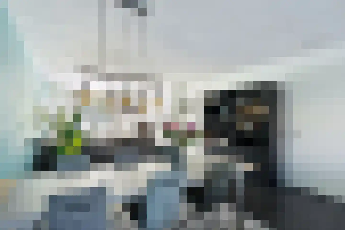 Beltmolen 87 Nunspeet thumbnail 15