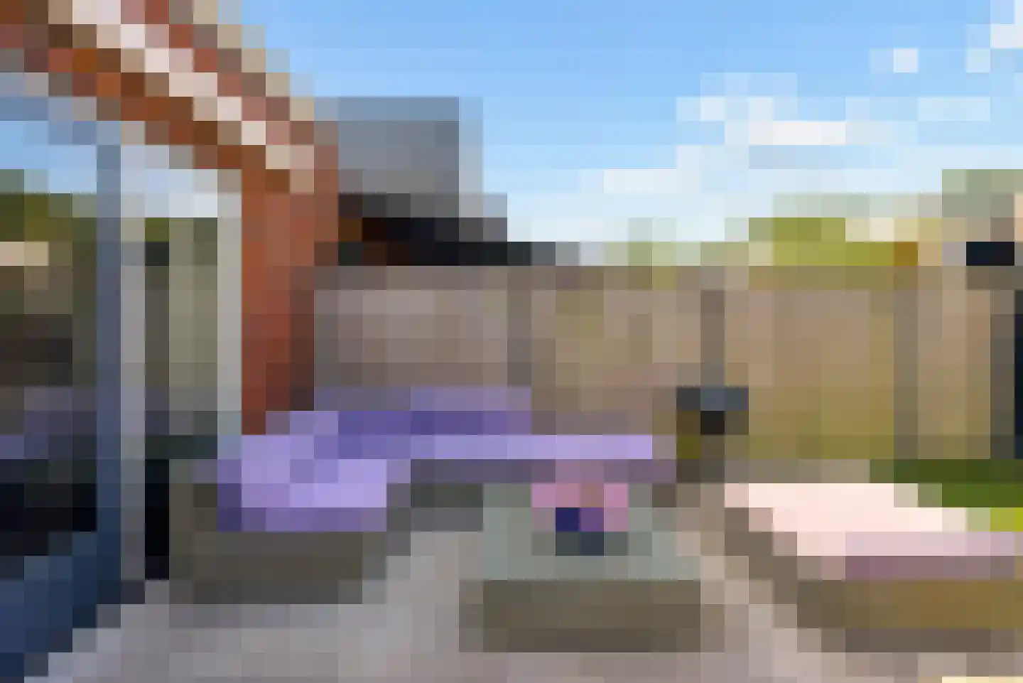 Beltmolen 87 Nunspeet thumbnail 50