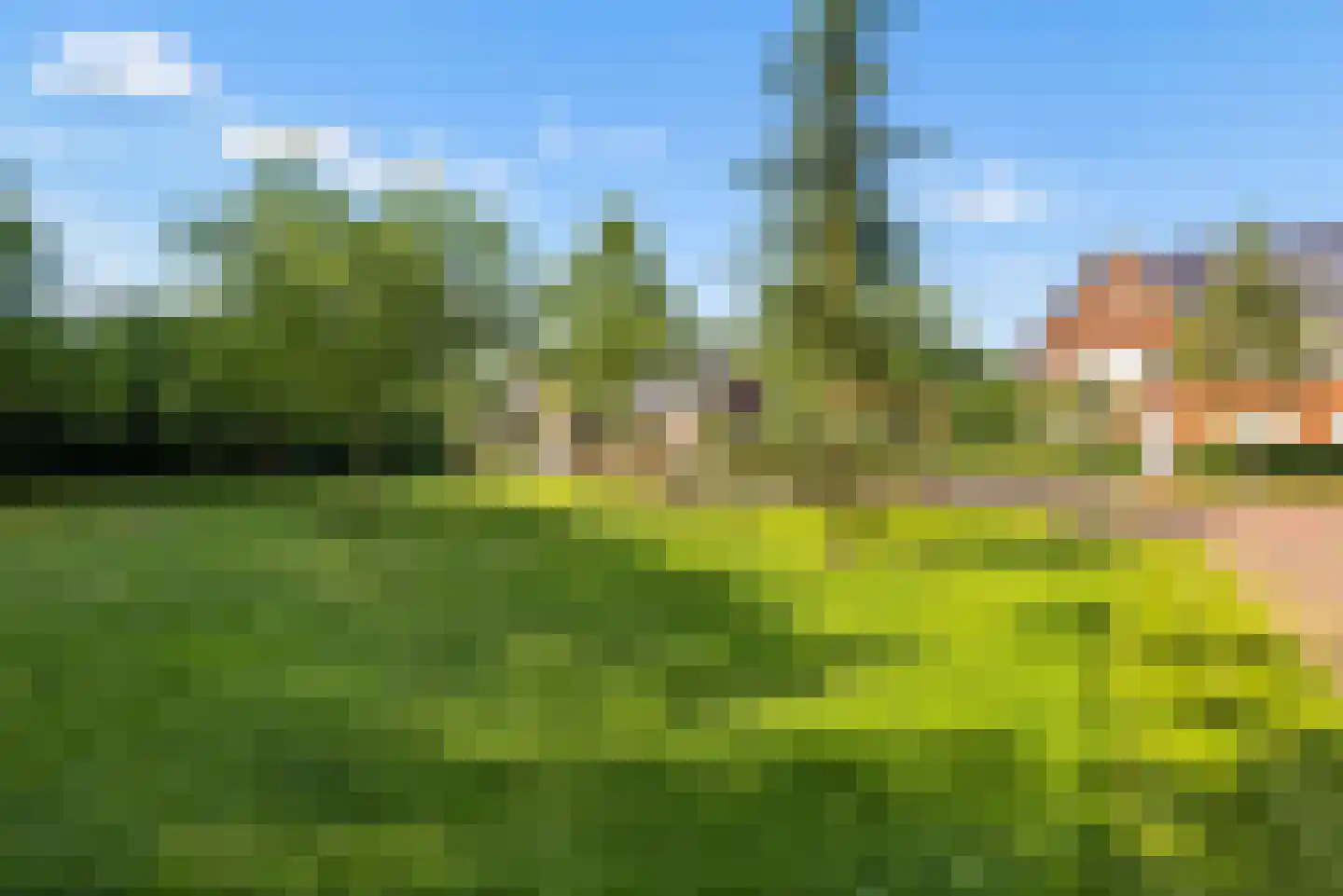 Beltmolen 87 Nunspeet thumbnail 60