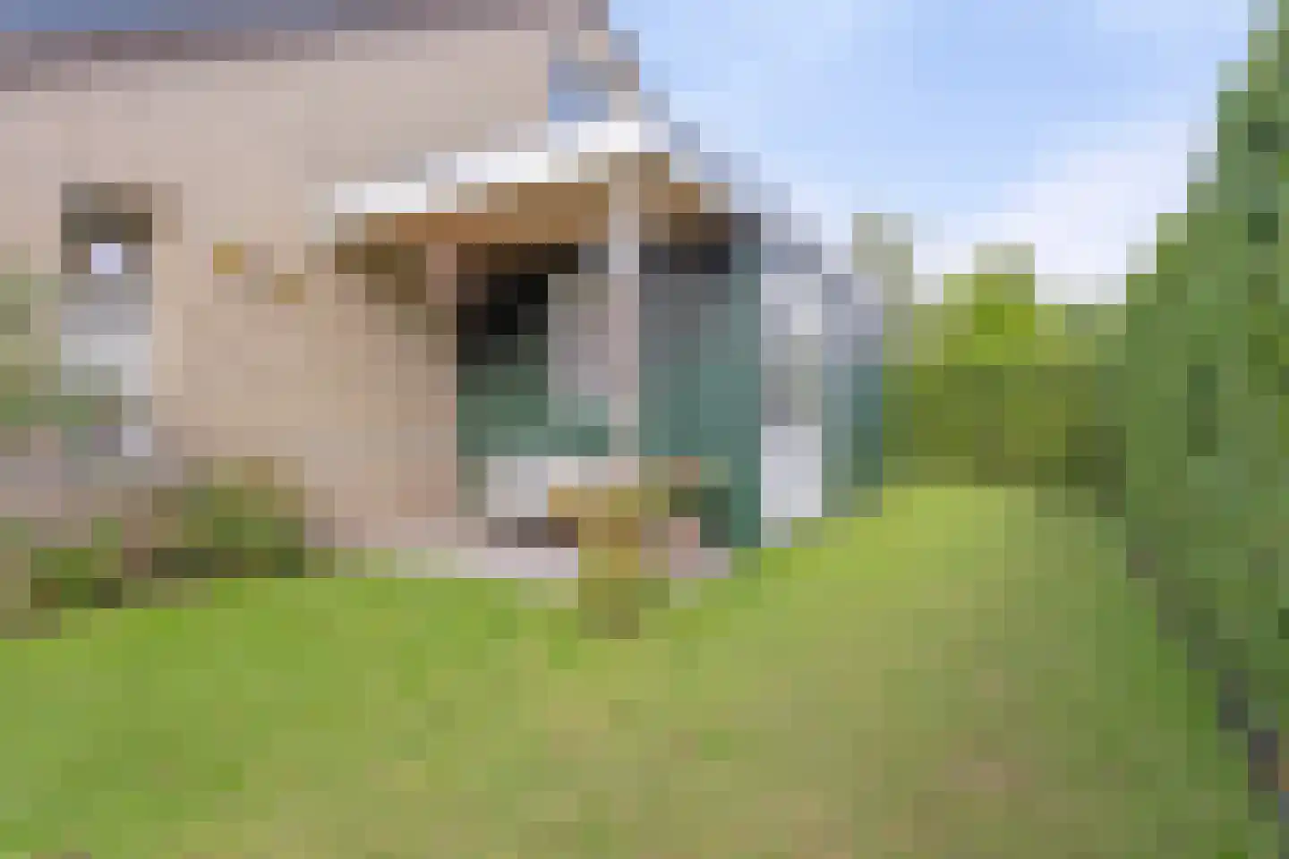 Beltmolen 93 Capelle aan den IJssel thumbnail 30
