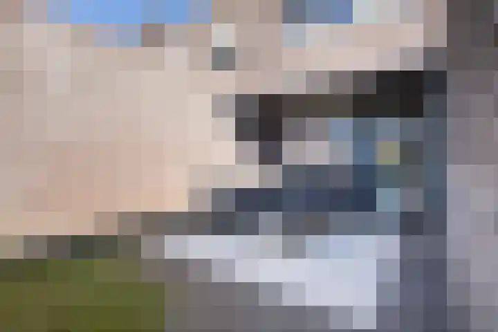Beltmolen 94 Weert thumbnail 41