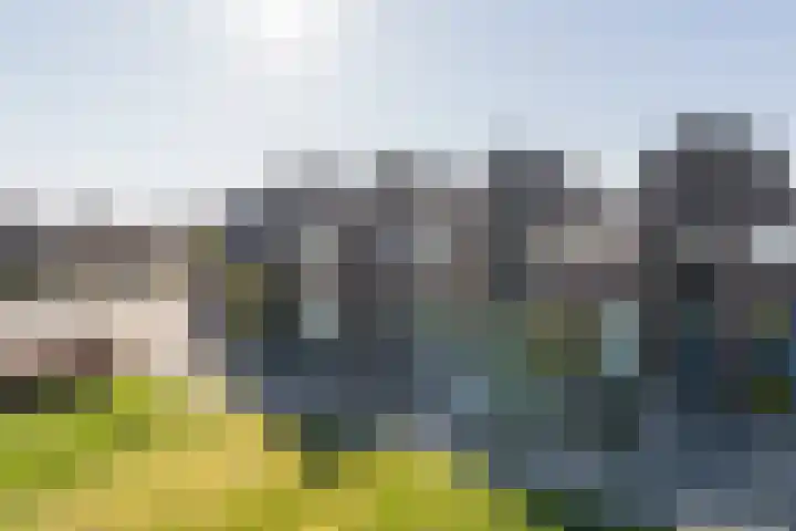 Beltmolen 94 Weert thumbnail 44