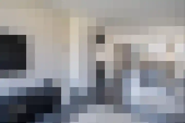 Beltmolen 94 Weert thumbnail 8