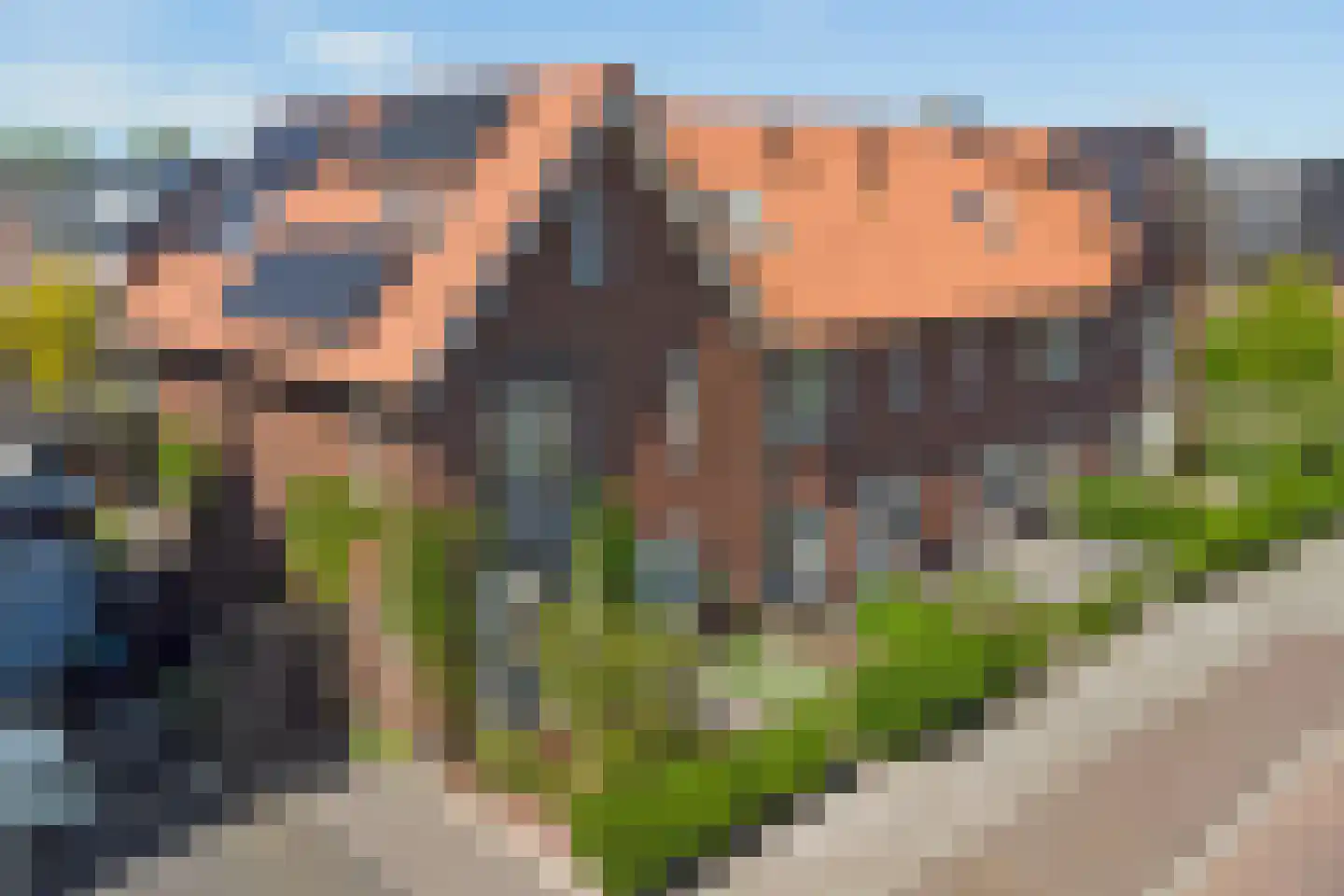 Beltmolen 97 Nunspeet thumbnail 44