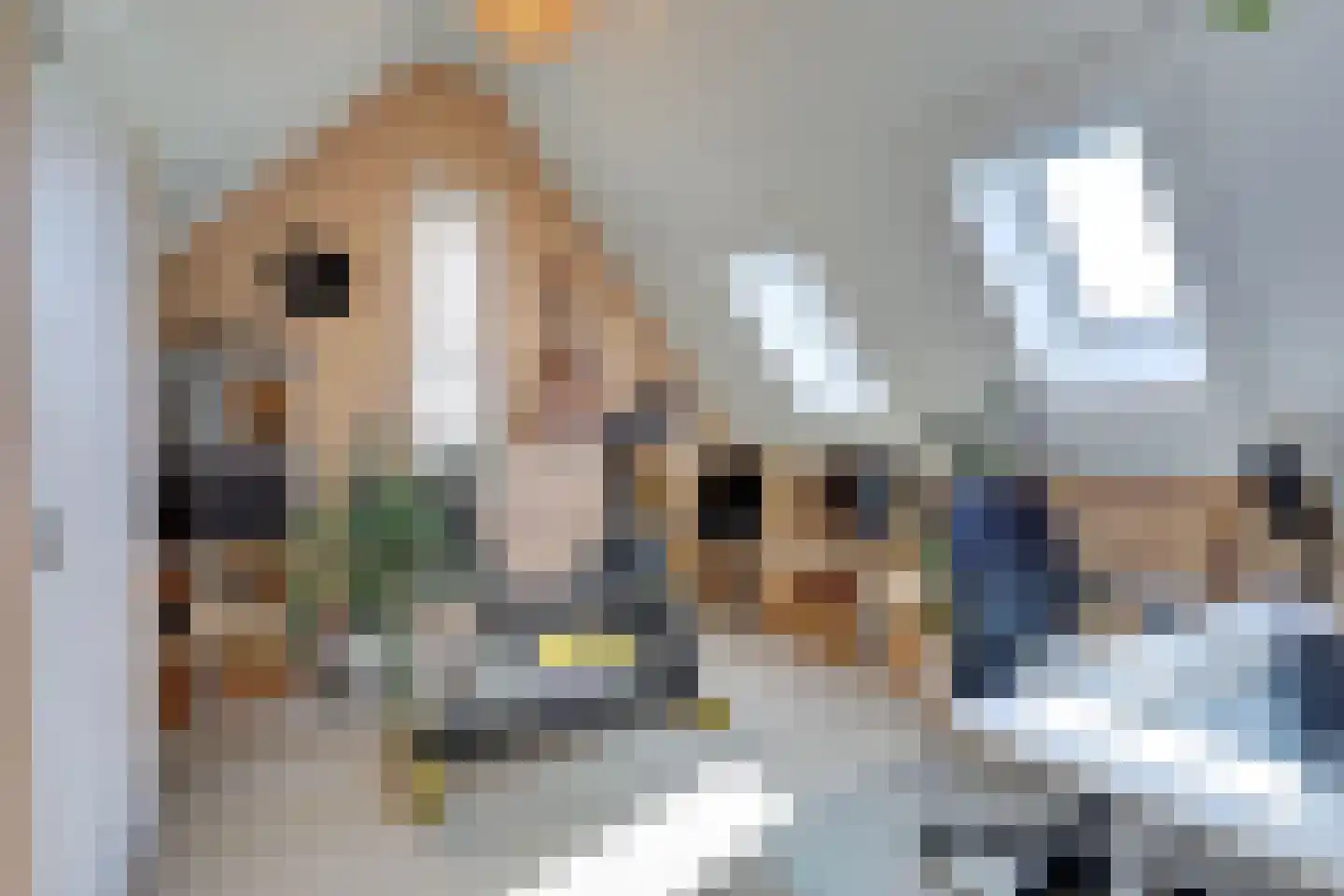 Beltmolen 97 Nunspeet thumbnail 7