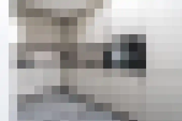 Beltmolenstraat 18 Roggel thumbnail 12