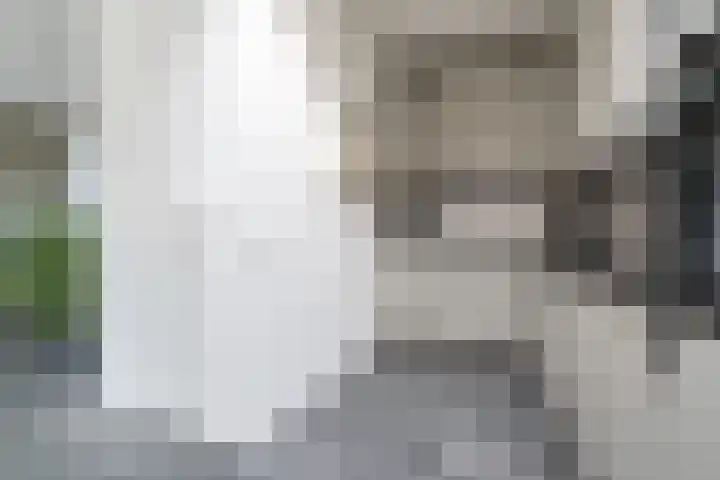 Beltmolenstraat 18 Roggel thumbnail 13