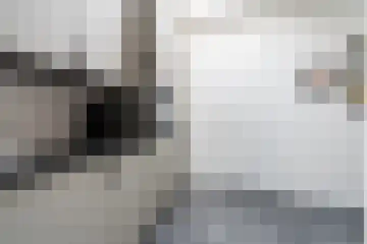 Beltmolenstraat 18 Roggel thumbnail 14