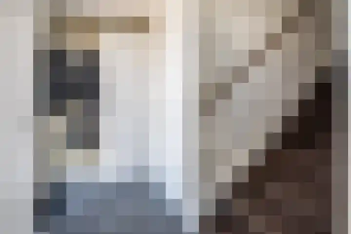 Beltmolenstraat 18 Roggel thumbnail 15