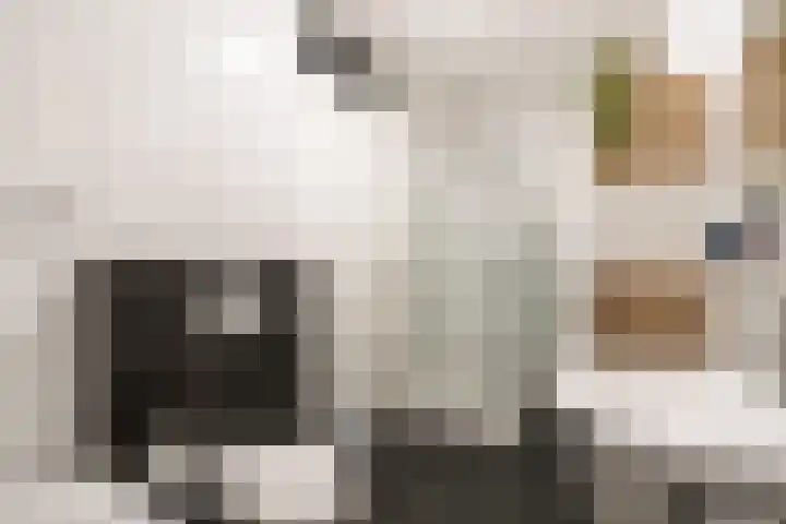Beltmolenstraat 18 Roggel thumbnail 18