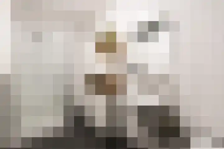 Beltmolenstraat 18 Roggel thumbnail 19