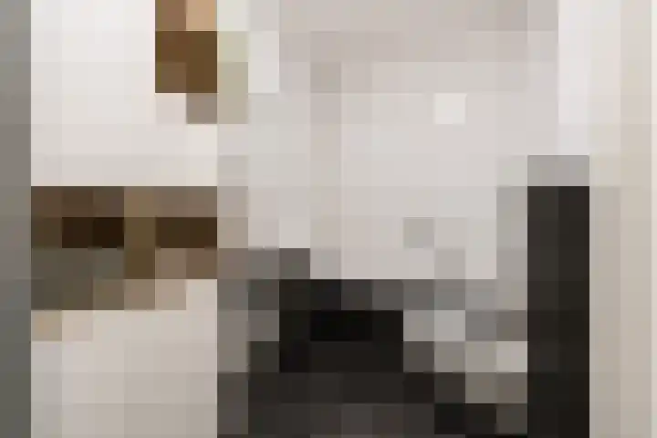 Beltmolenstraat 18 Roggel thumbnail 20