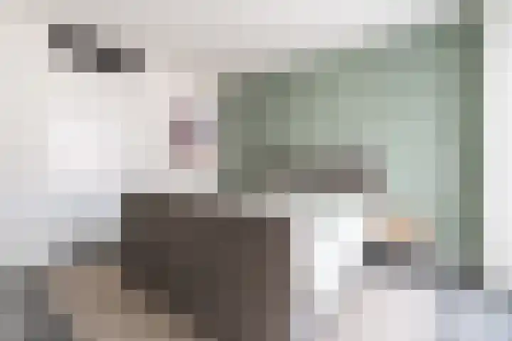 Beltmolenstraat 18 Roggel thumbnail 21