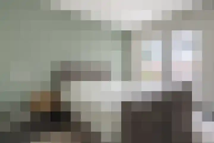 Beltmolenstraat 18 Roggel thumbnail 22