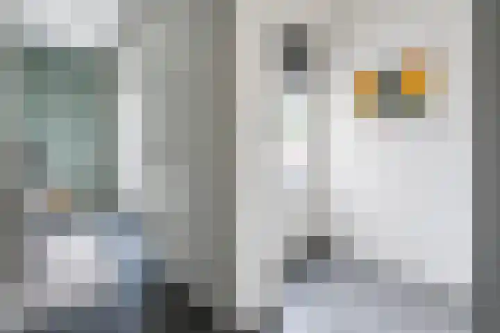 Beltmolenstraat 18 Roggel thumbnail 25