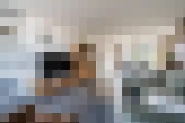 Beltmolenstraat 18 Roggel thumbnail 4