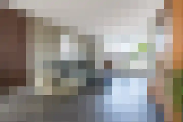 Beltmolenstraat 18 Roggel thumbnail 5