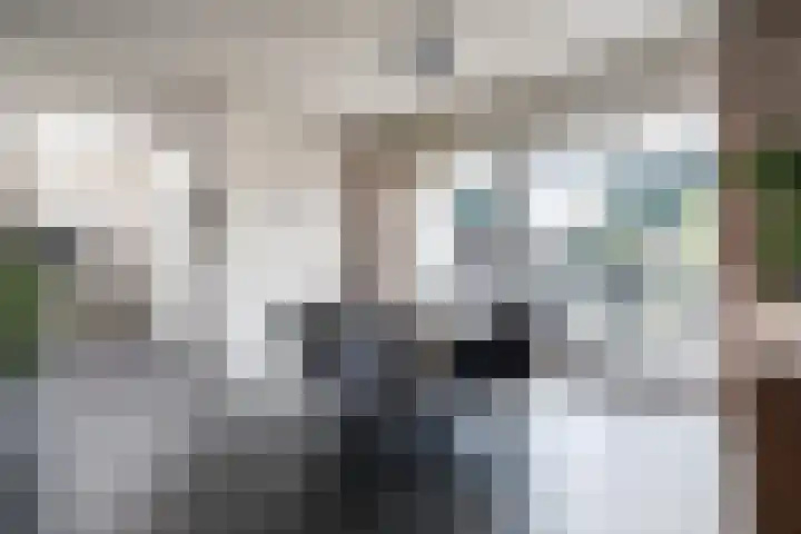 Beltmolenstraat 18 Roggel thumbnail 8