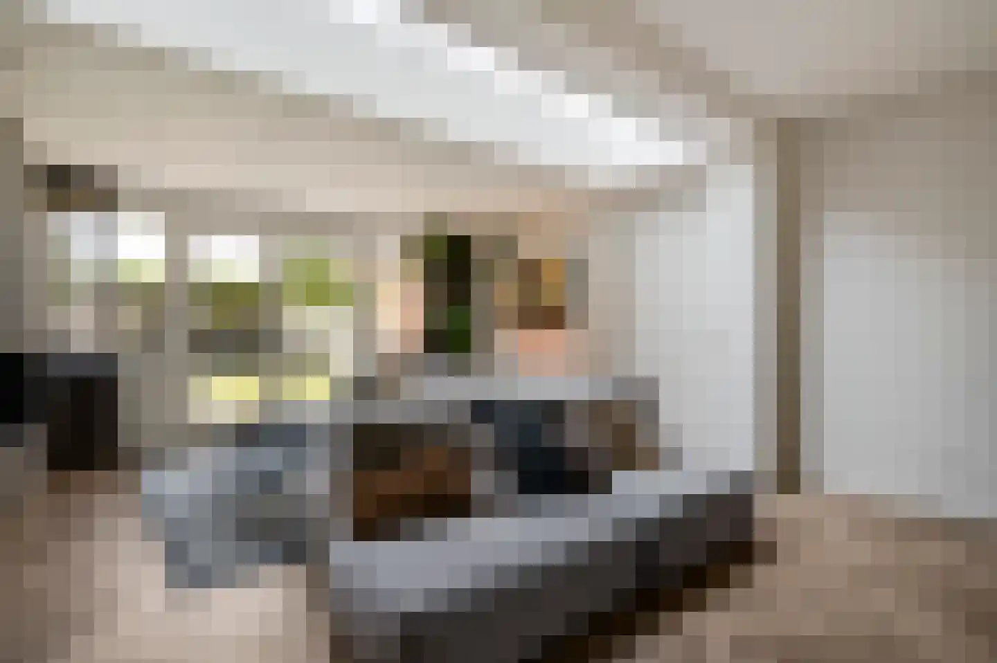 Beltmolenstraat 23 Roggel thumbnail 10