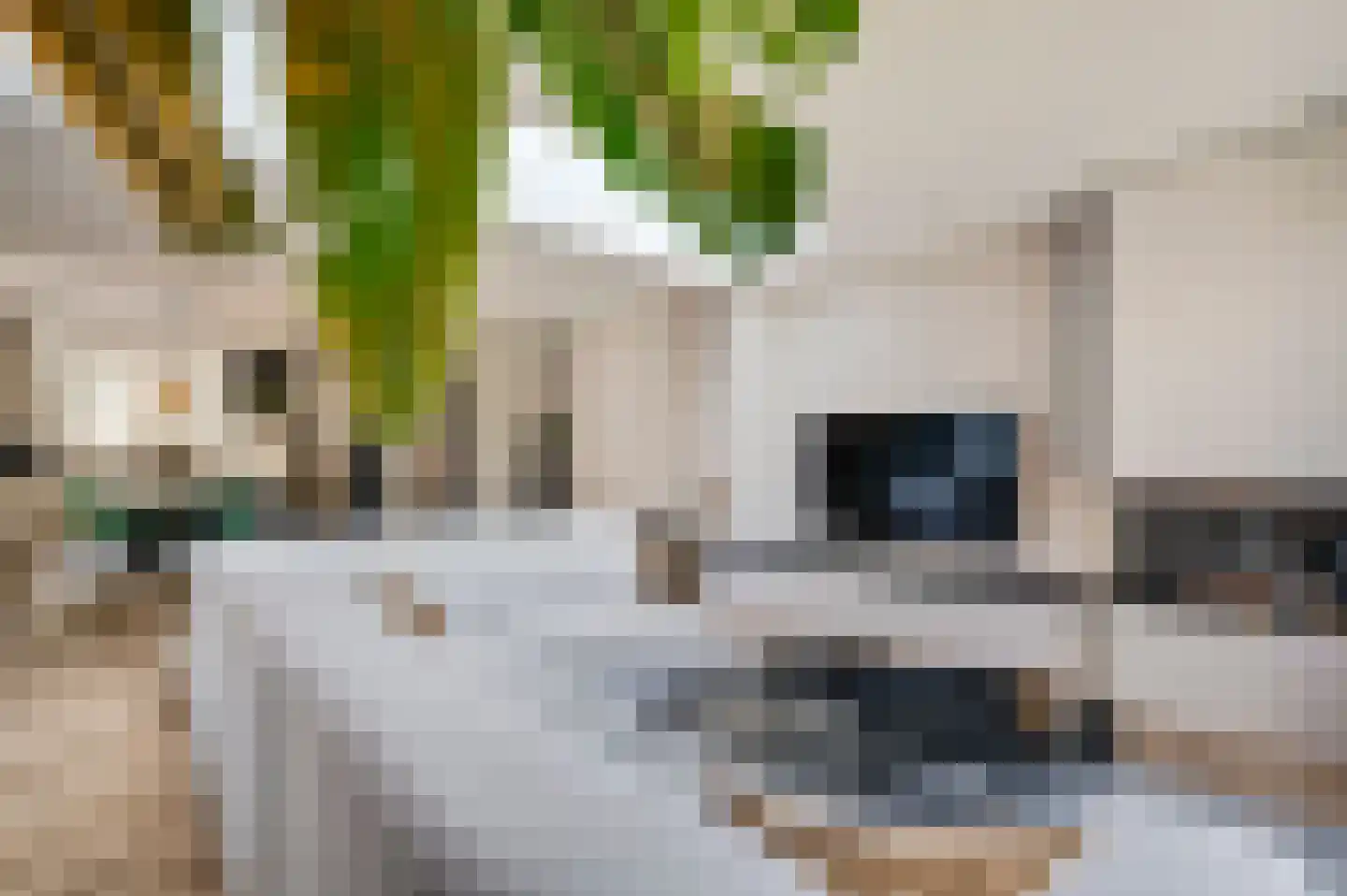 Beltmolenstraat 23 Roggel thumbnail 12
