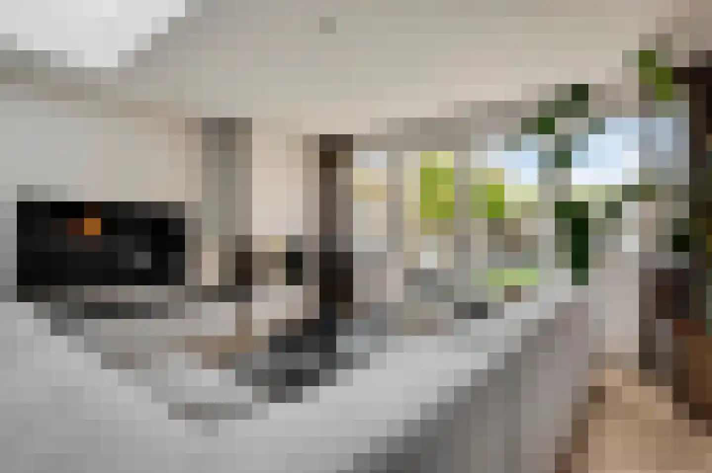 Beltmolenstraat 23 Roggel thumbnail 14