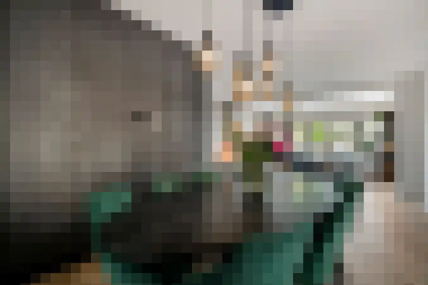Beltmolenstraat 23 Roggel thumbnail 17