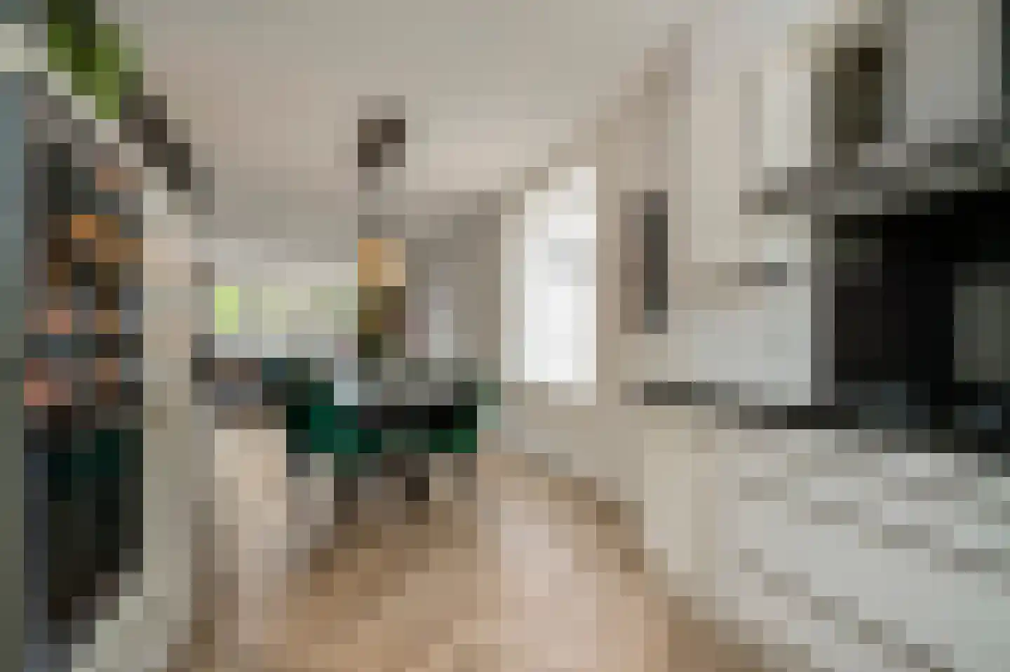 Beltmolenstraat 23 Roggel thumbnail 20