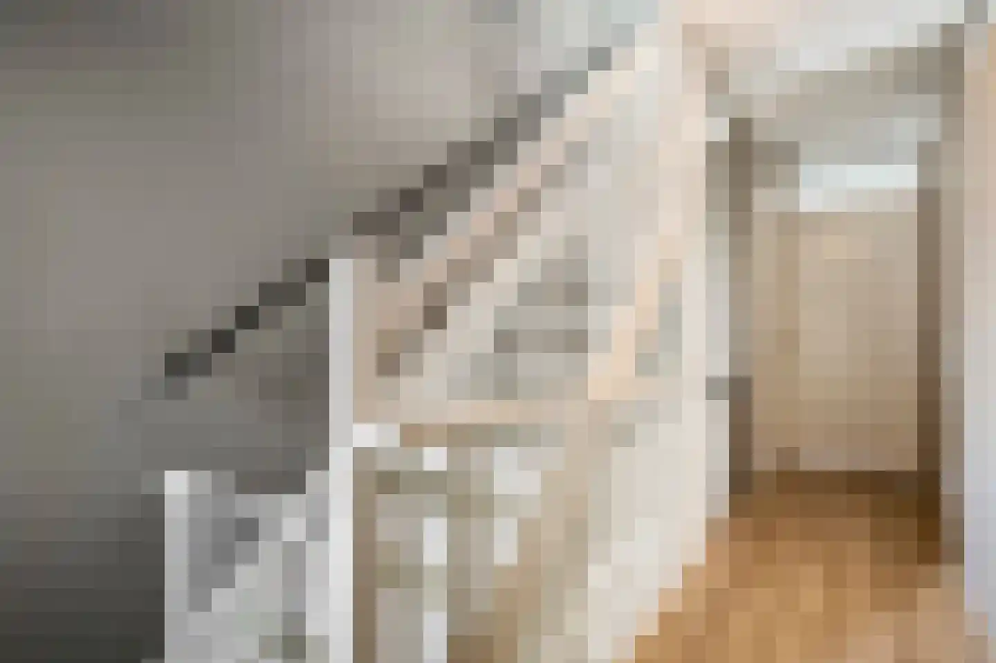 Beltmolenstraat 23 Roggel thumbnail 22