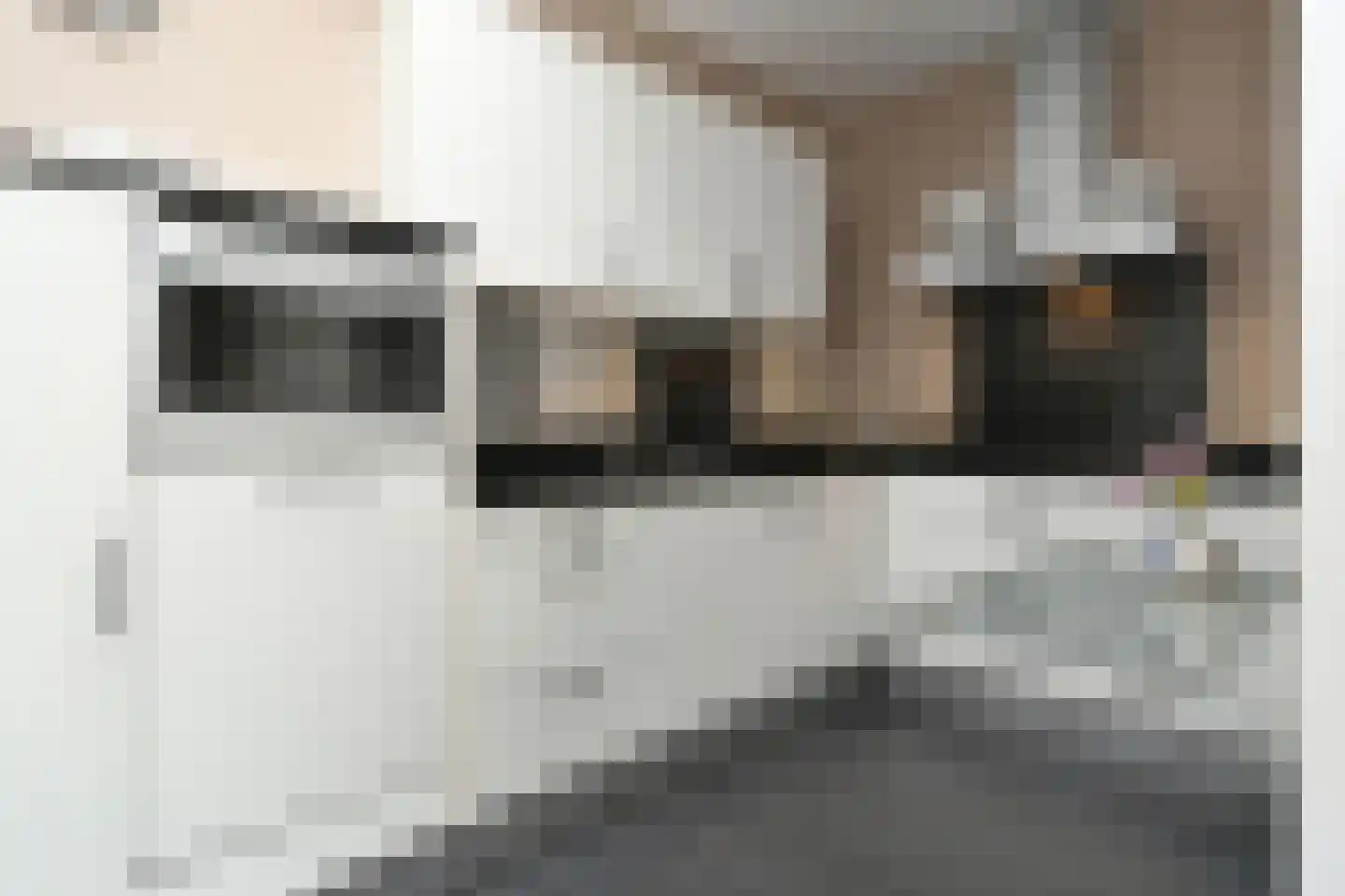 Beltmolenstraat 26 Roggel thumbnail 15