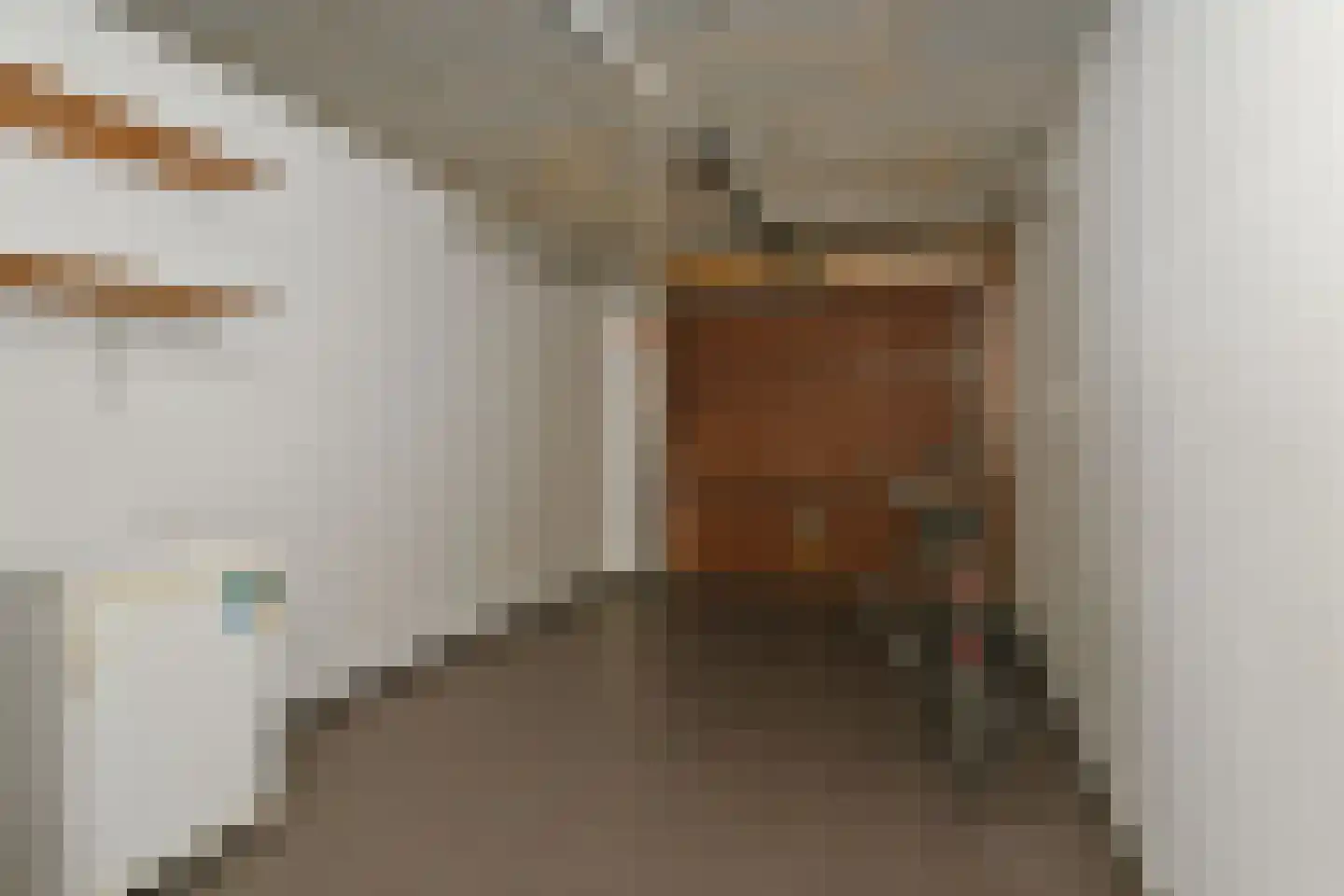 Beltmolenstraat 26 Roggel thumbnail 25